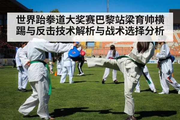 世界跆拳道大奖赛巴黎站梁育帅横踢与反击技术解析与战术选择分析